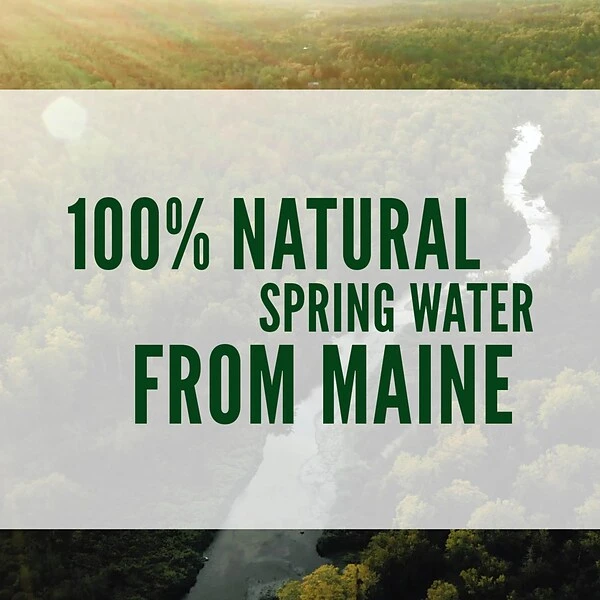 Poland Spring 100% Natural Spring Water, Regular Flavor, 8 Oz. Mini Plastic Bottles, 48/Carton (100987) 4 Poland Spring 100% Natural Spring Water, Regular Flavor, 8 Oz. Mini Plastic Bottles, 48/Carton (100987) - Image 4