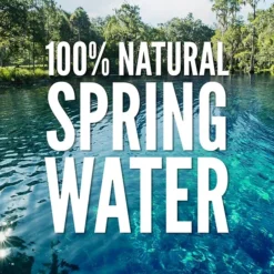 Zephyrhills 100% Natural Spring Water, 16.9 Oz. Plastic Bottles, 24/Carton (11475233) -Bigelowining Shop sp124210474 s7