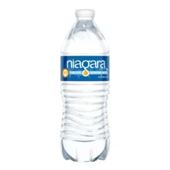 True Clear™ Purified Bottled Water, 16.9 Fl Oz Bottles, 24/Carton, 84 Cartons/Pallet (TC54594PL) -Bigelowining Shop sp133967319 s7 1
