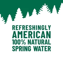 ORIGIN, 100% Natural Spring Water, 900 ML, Recycled Plastic Bottle (12 Count)