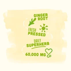 Vive Organic Variety Juice Pack, No Sugar Added, No Pulp, 12 Bottles/Case (9026) -Bigelowining Shop sp173279700 s7