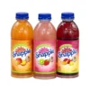 Snapple All Natural Juice Variety Pack Bottles, 20 Oz., 24/Pack (220-00813)
